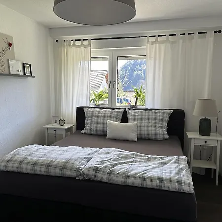 Haus Albi Apartment Waldkirch Exterior photo